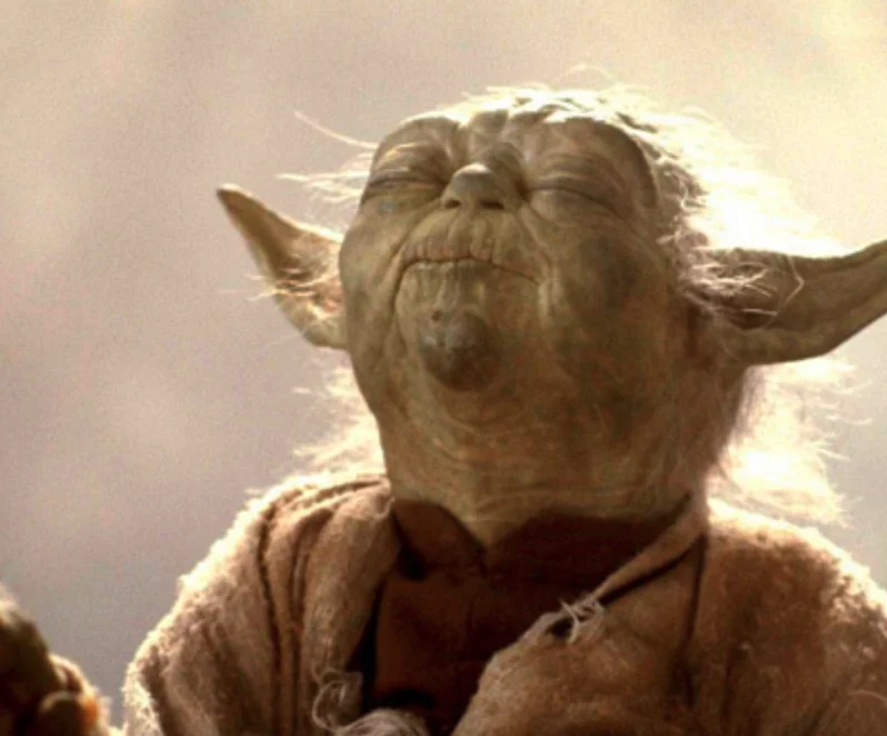 an image of Yoda from Star Wars with his eyes closed and head titled upward