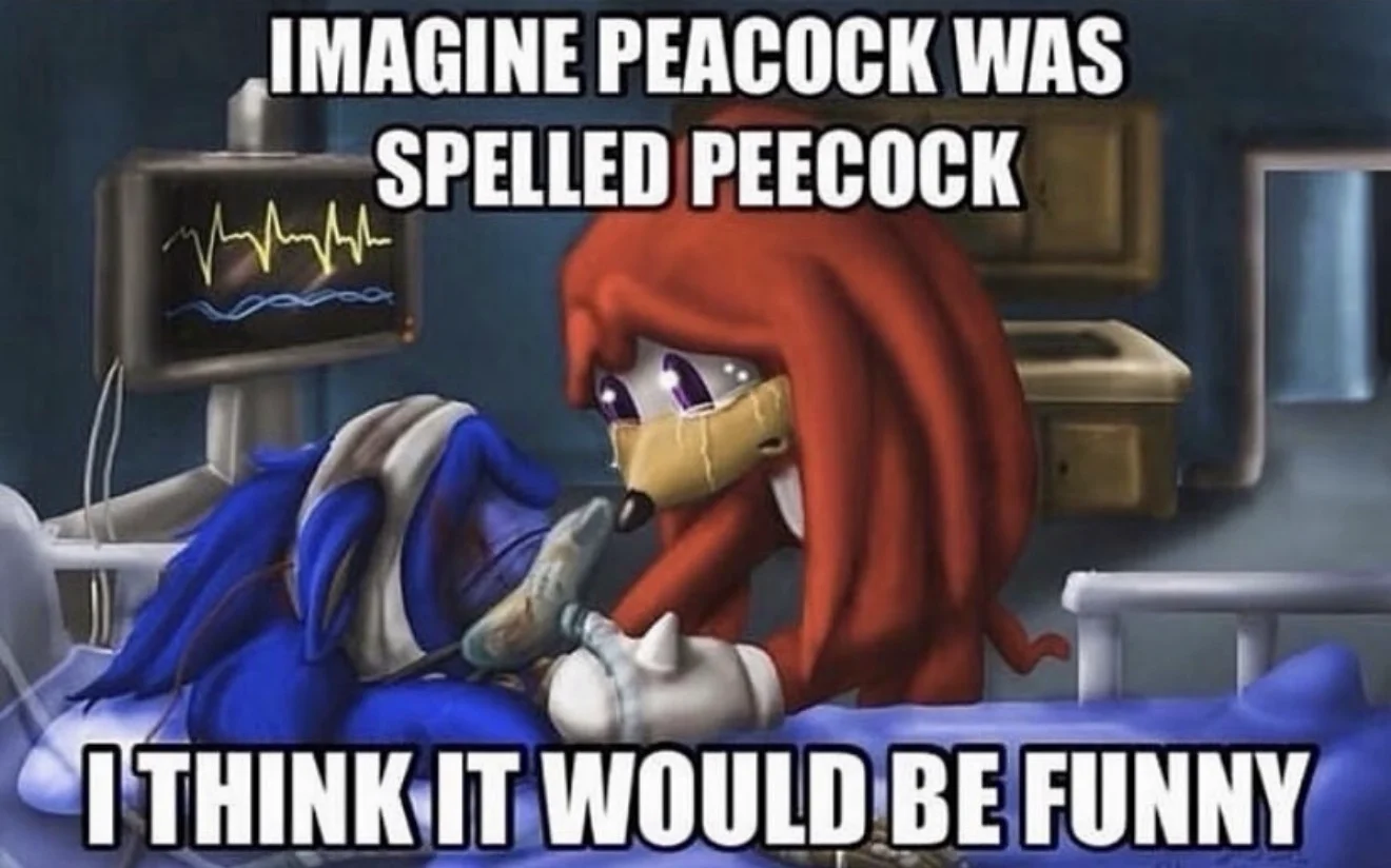 An image of Tails from Sonic crying, with the caption “IMAGINE PEACOCK WAS SPELLED PEECOCK I THINK IT WOULD BE FUNNY”