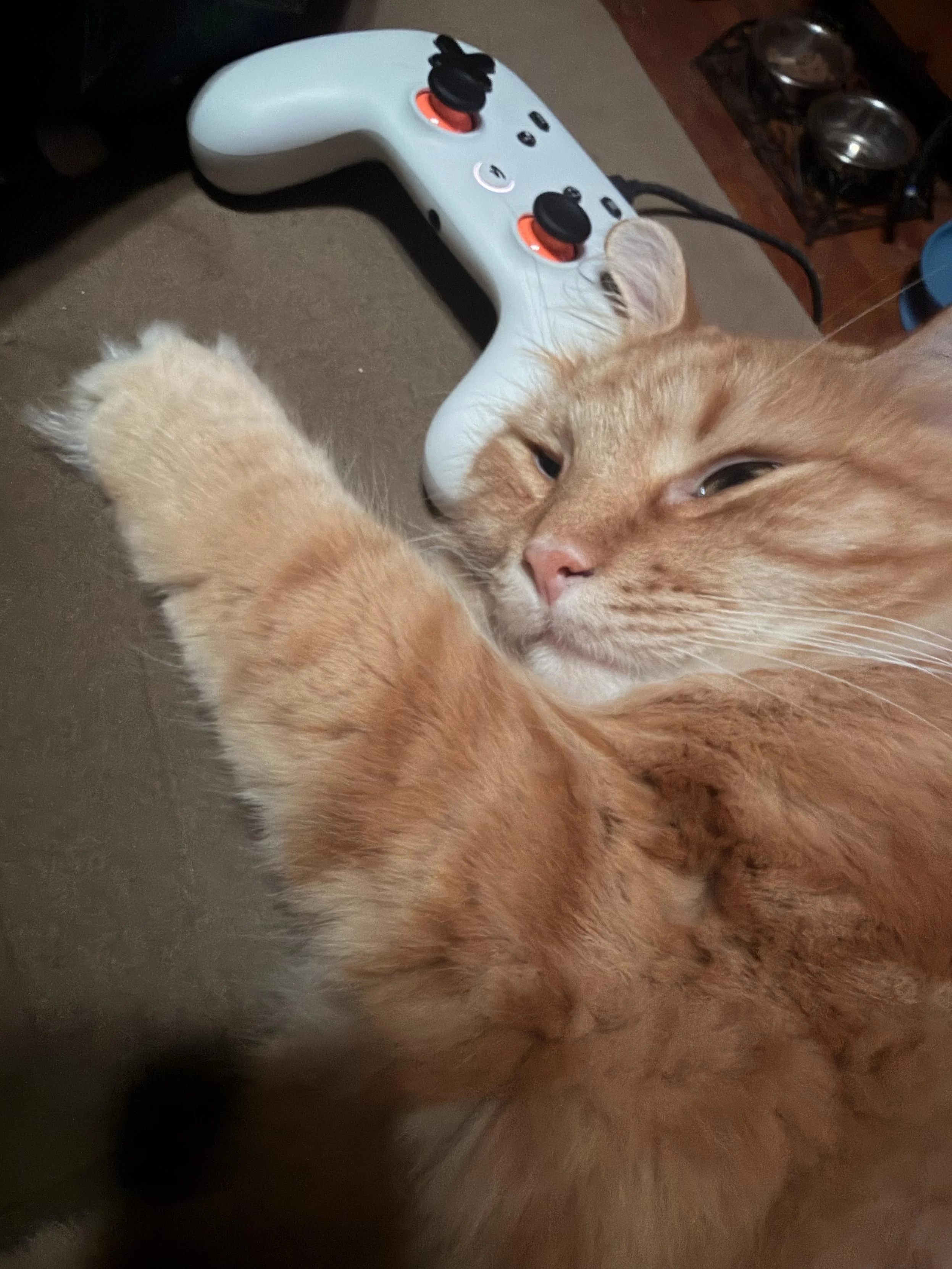 Image of my orange cat laying down with his head resting on the handle of a white stadia controller 