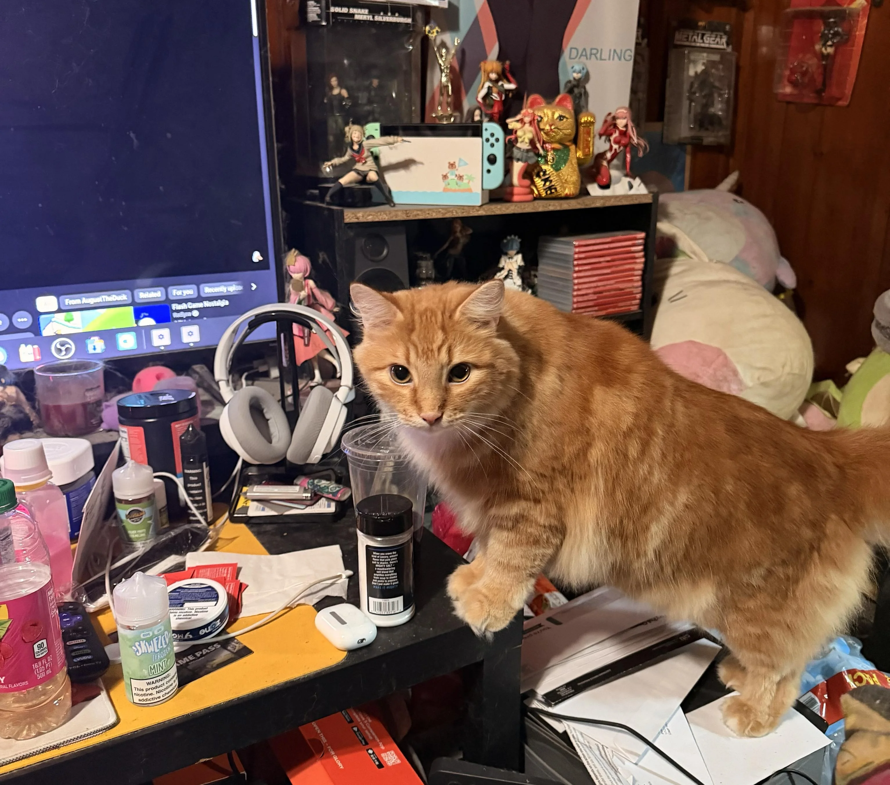 A photo of my orange fluffy cat standing with his front paws on the coffee table in front of my tv, strewn with random electronics and a shaker of some msg 