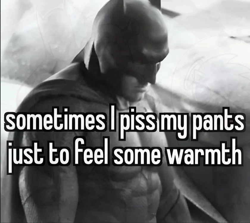 a photo of batman that reads "sometimes I piss my pants just to feel some warmth"