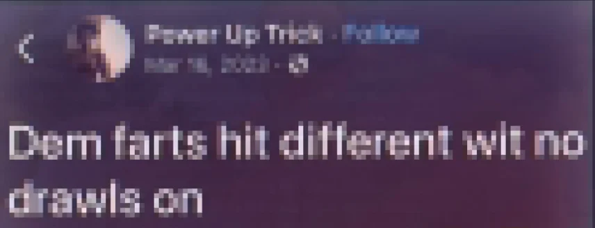 a heavily artifact affected jpg screenshot of a user on a social site saying, "dem farts hit different wit no drawls on"